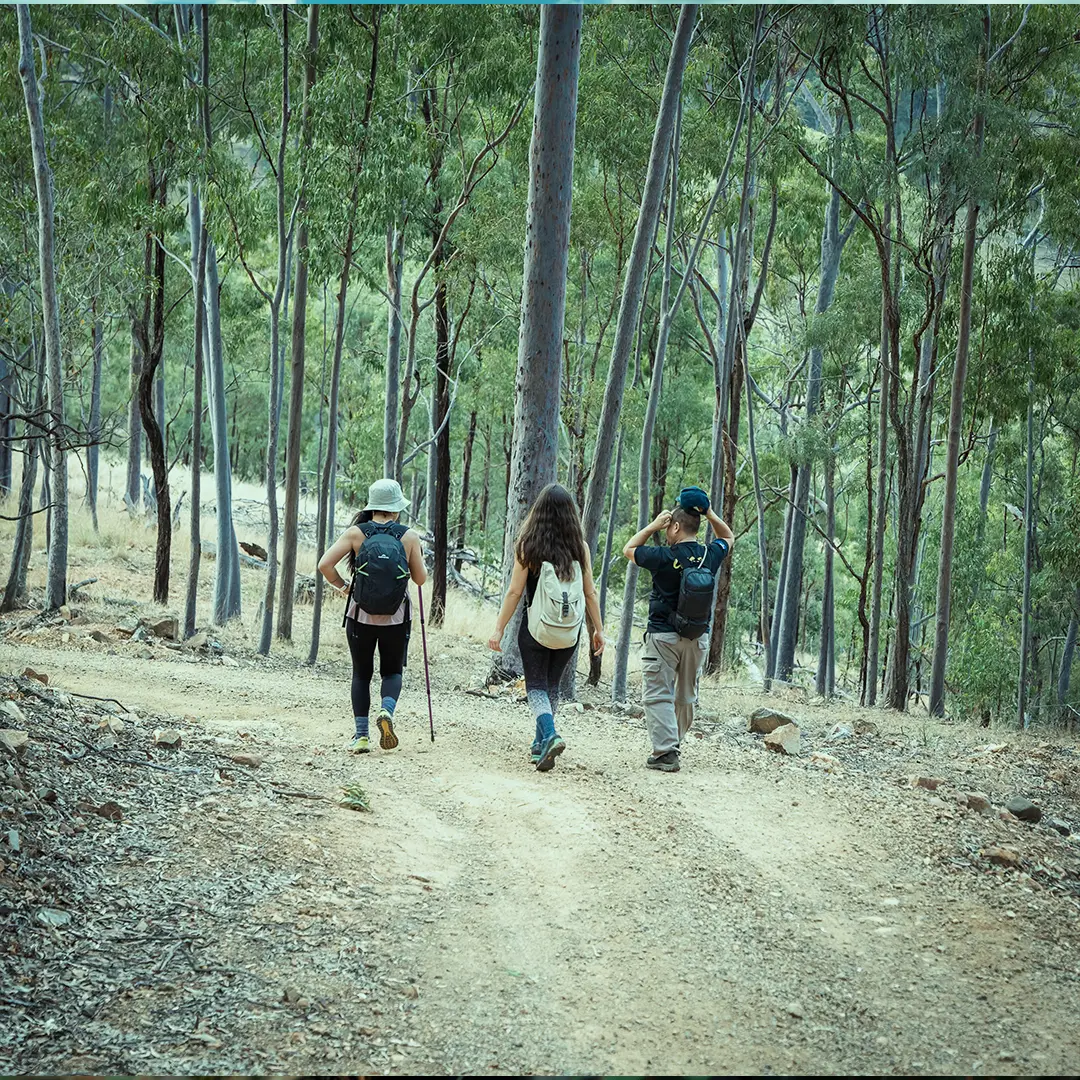 Hiking